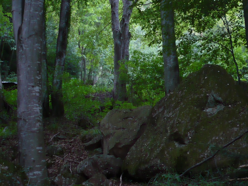 20090726-202807-LS60