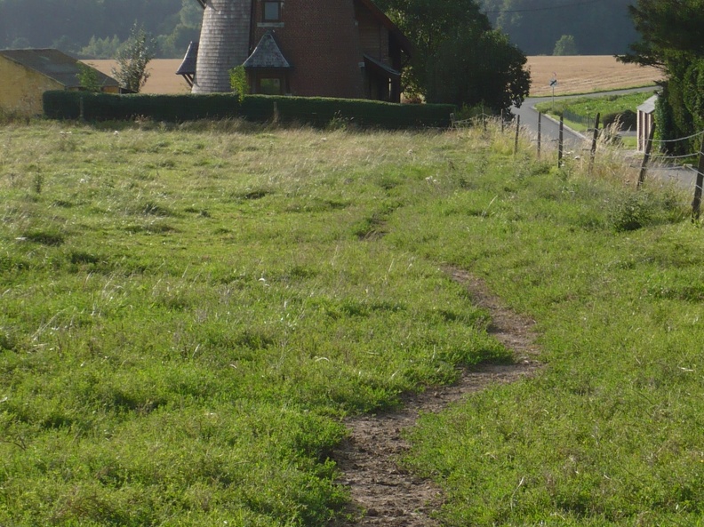 20080814-185351-LS60