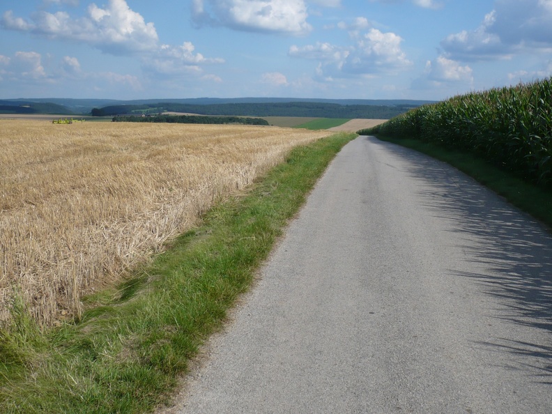 20080815-165243-LS60