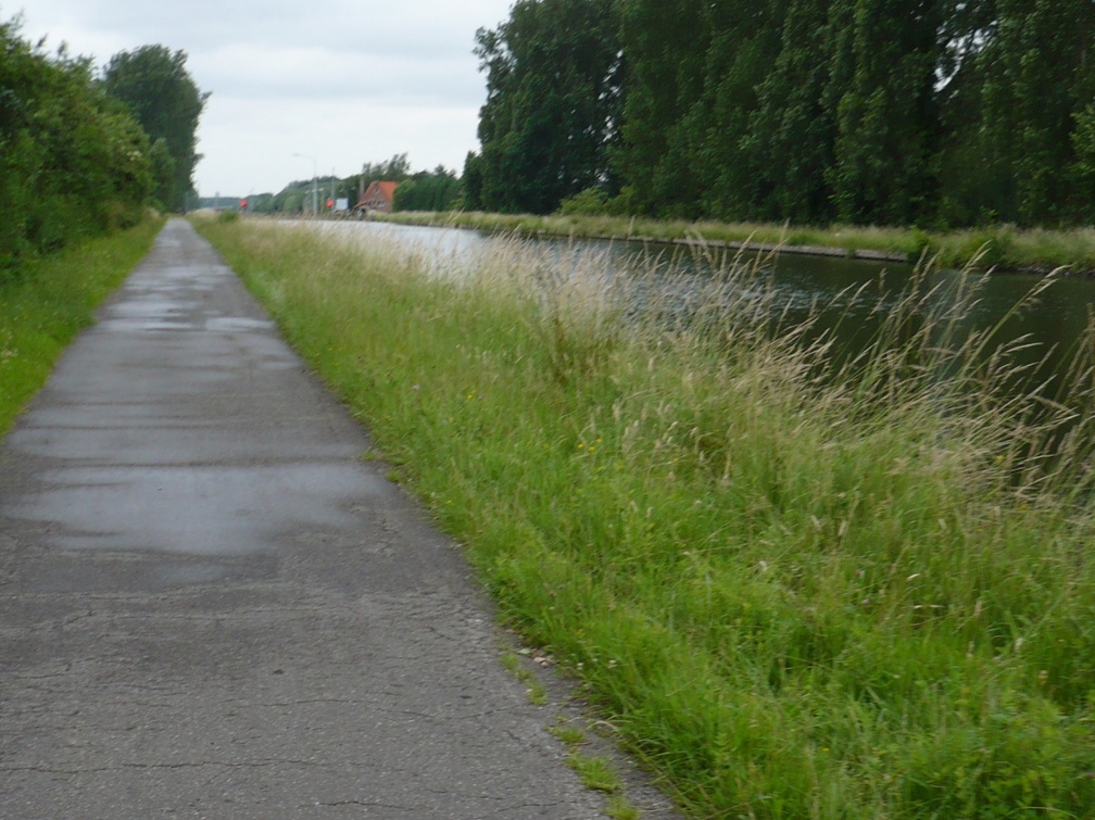 20080619-112028-LS60