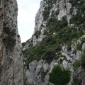 20070819-102422-LS60