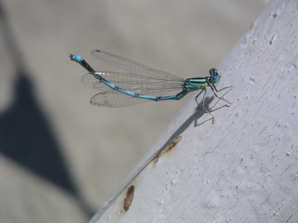 20040714-125701-Xt