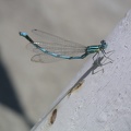 20040714-125701-Xt