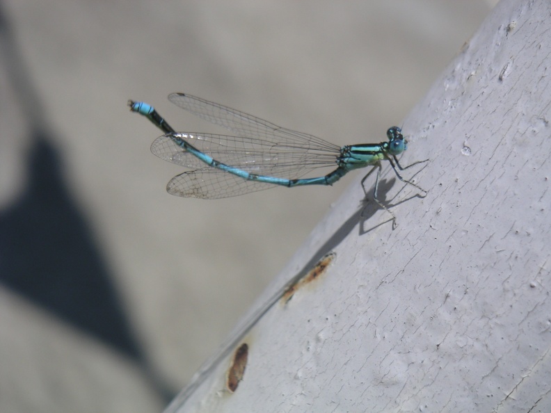 20040714-125701-Xt