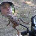 20040715-103959-Xt.jpg