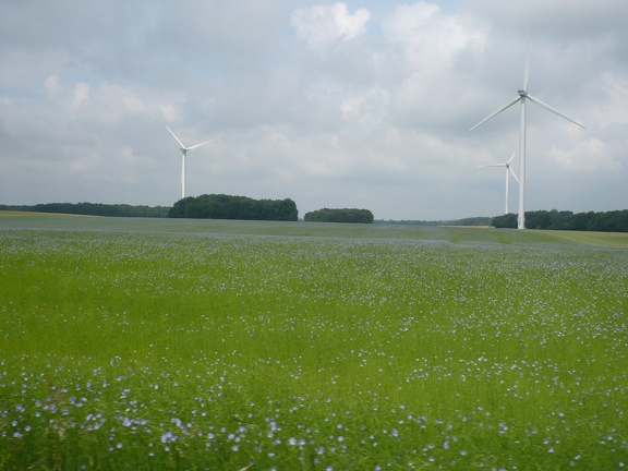 20090621-105439-LS60