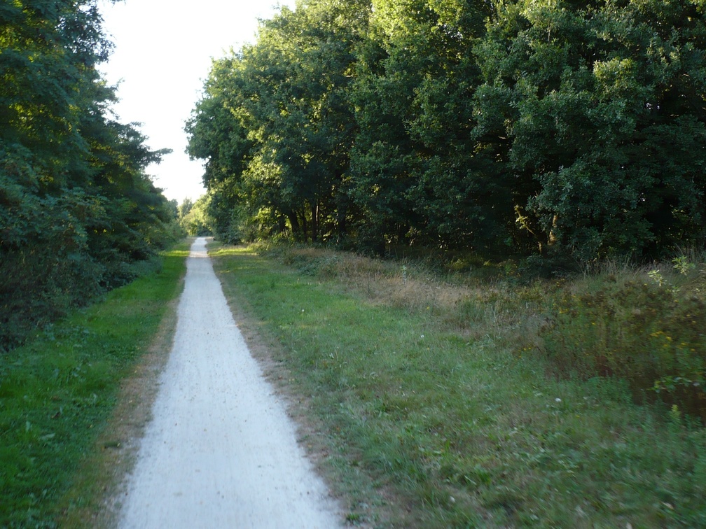 20090825-191821-LS60