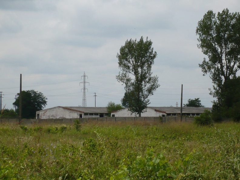 20110805-124223-LS60