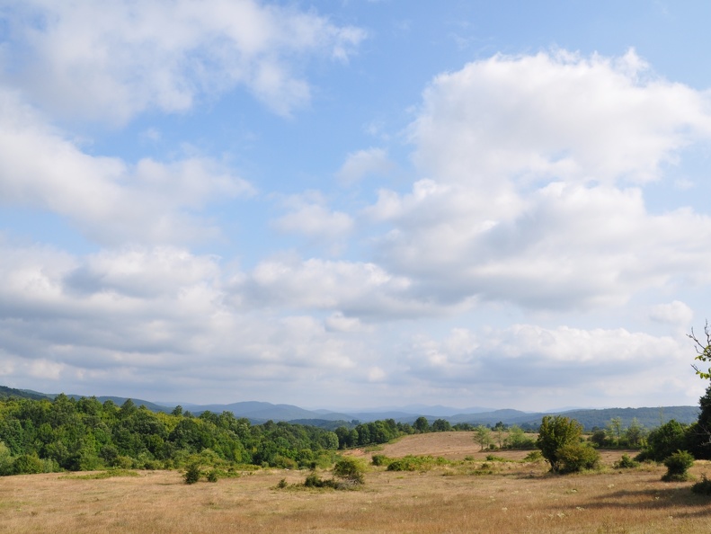 20110821-165750-D90