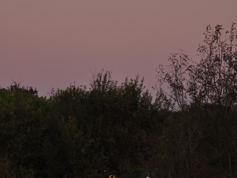 20110911-192127-D90
