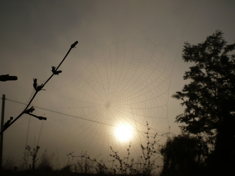 20110920-072917-LS60